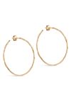 Enamel - Øreringe - Hoops, Organic Arena Large - Gold (Levering midt april)