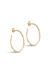 Enamel - Øreringe - Hoops, Organic Arena Medium - Gold (Levering midt april)