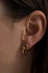 Pico - Øreringe - Iris Petite Hoops - Gold