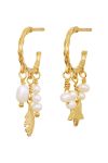 Maanesten - Øreringe - Susu Earrings - Gold  