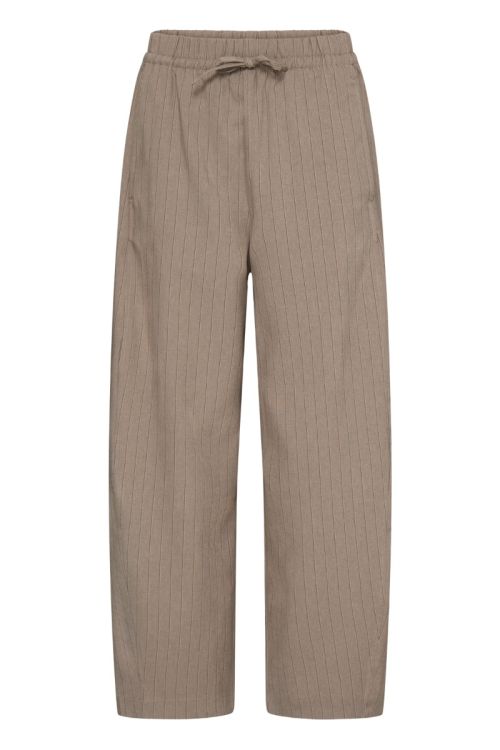 Ichi IXTRINE PA Fungi