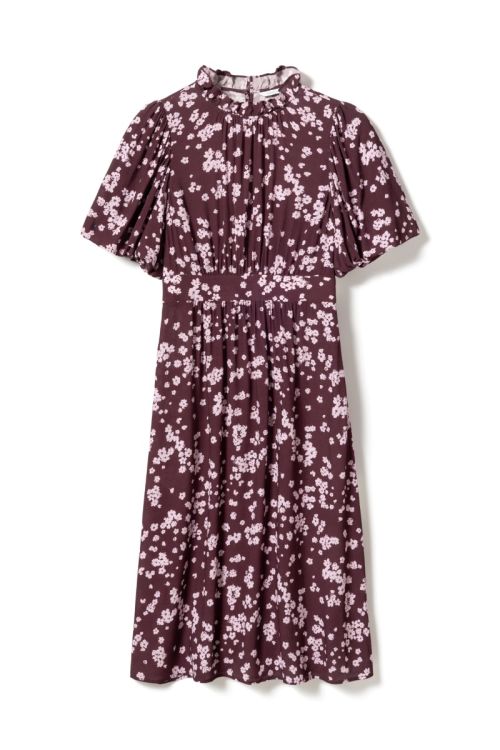 Noella N-Ruth Dress Deja Burgundy Print