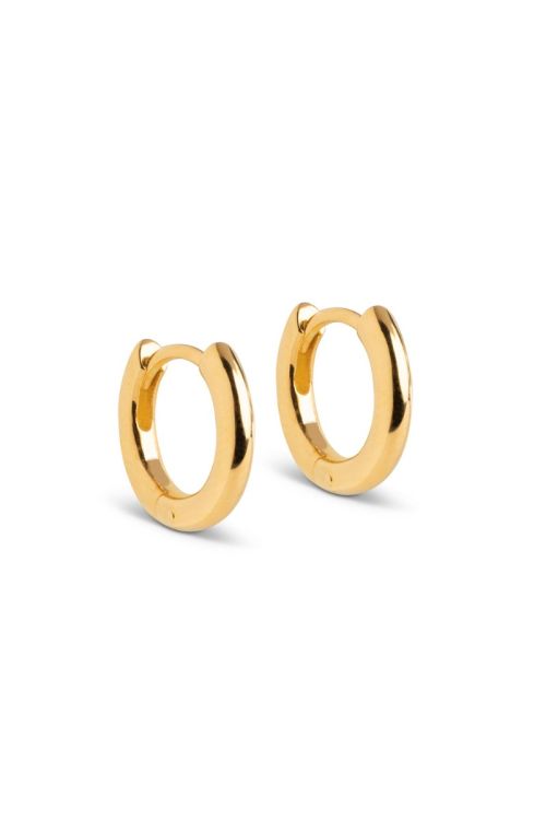 Enamel Øreringe Hoops Chunky Classic 8 mm Gold Front
