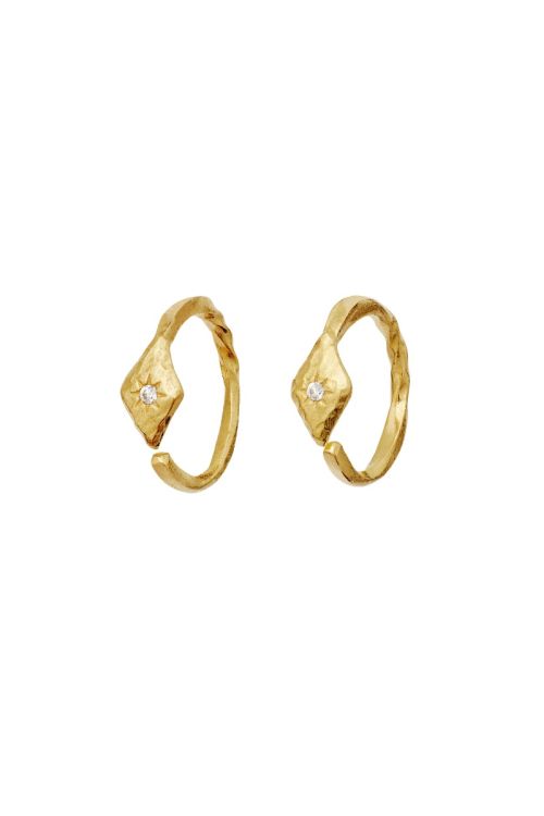 Maanesten Forte Earrings Guld