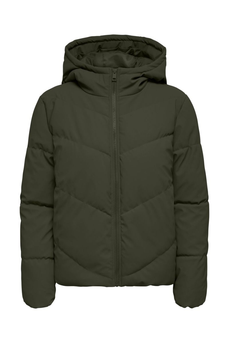 JDY - Jakke - Arnhem Life Water Rep Short - Forest Night 