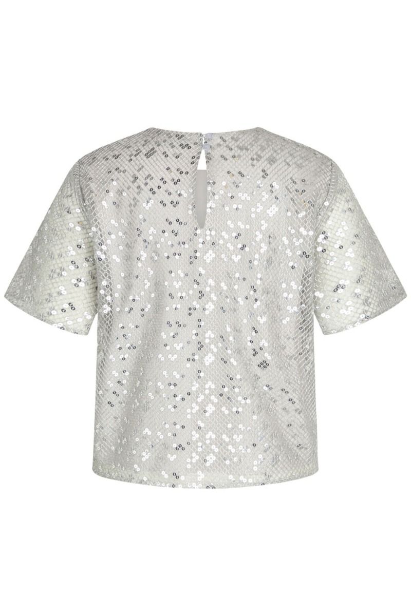 Bruuns Bazaar - T-shirt - Fairymoss Alvas Blouse - Silver
