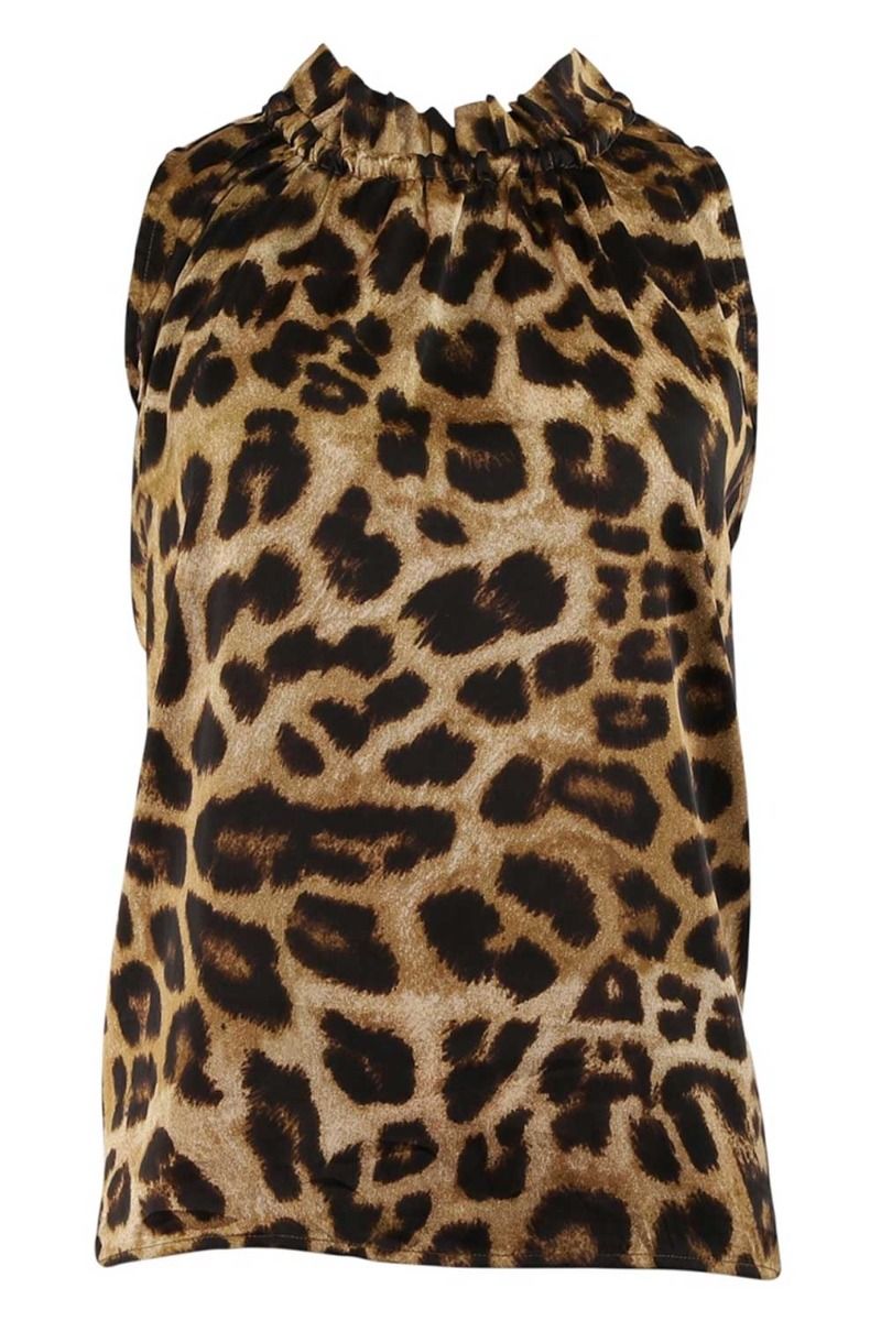 Continue - Top - Liva Leo - Leo Shinny