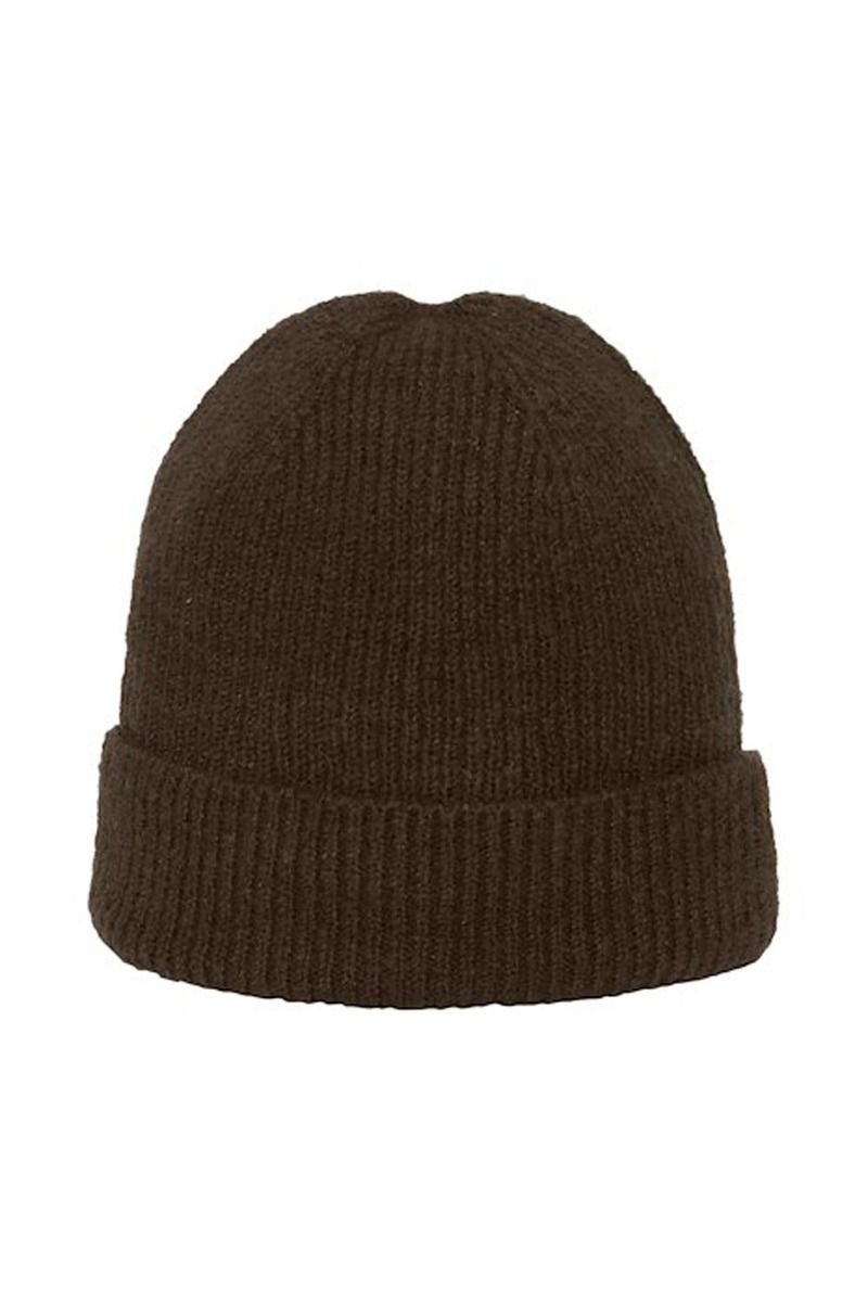 Ichi - Hue - IA Ivo Ho - Bracken