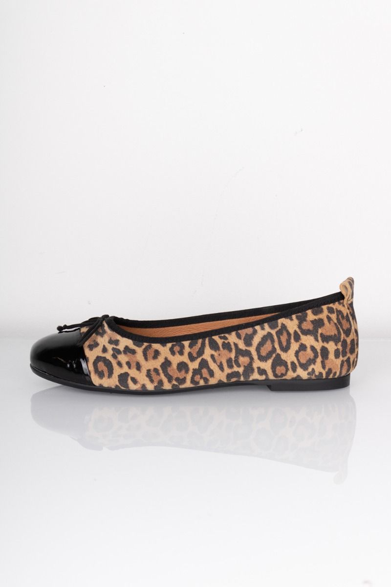 Pavement - Ballerina - Lucy - Leo/Patent Toe Cap 