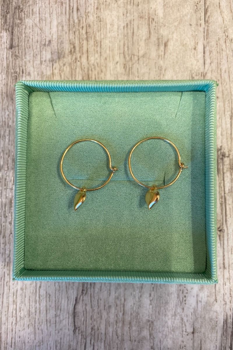 Pico - Øreringe - Loveshine Hoops - Guld